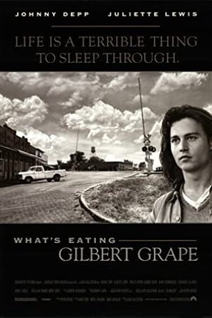 دانلود فیلم What’s Eating Gilbert Grape - اصل موویز