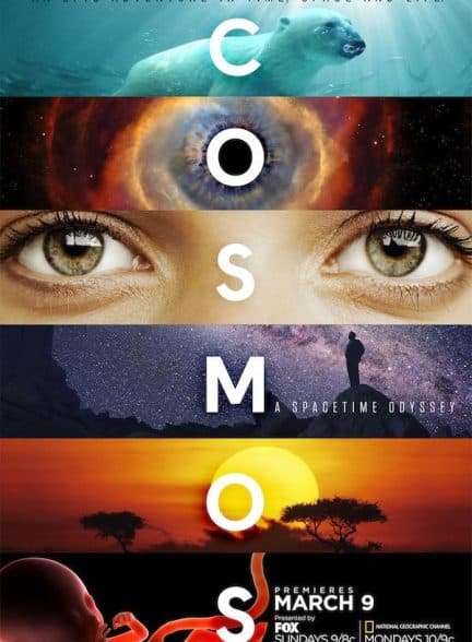Cosmos: A Spacetime Odyssey