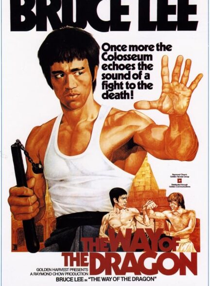 دانلود فیلم The Way of the Dragon 1972